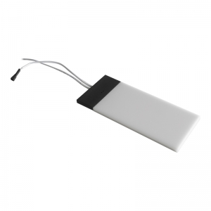 Spot rectangle Zebra 12V